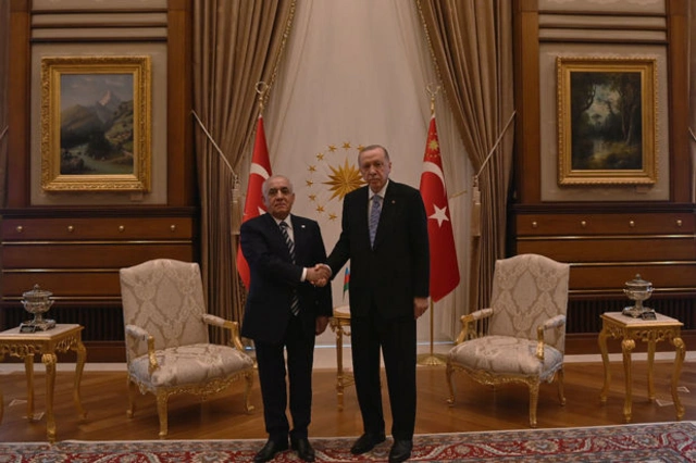 Али Асадов передал Реджепу Тайипу Эрдогану приглашение на COP29 - ОБНОВЛЕНО + ФОТО